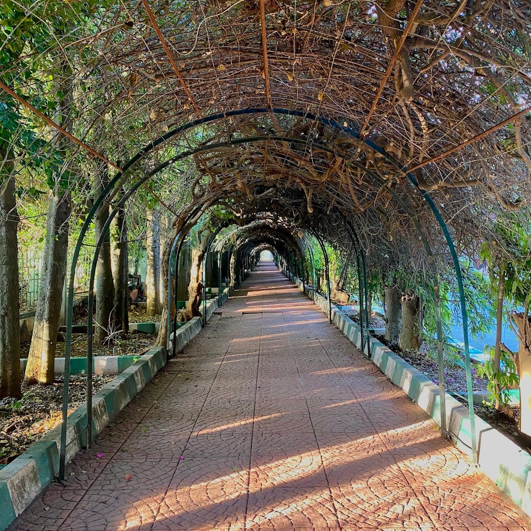 Lalbagh 1
