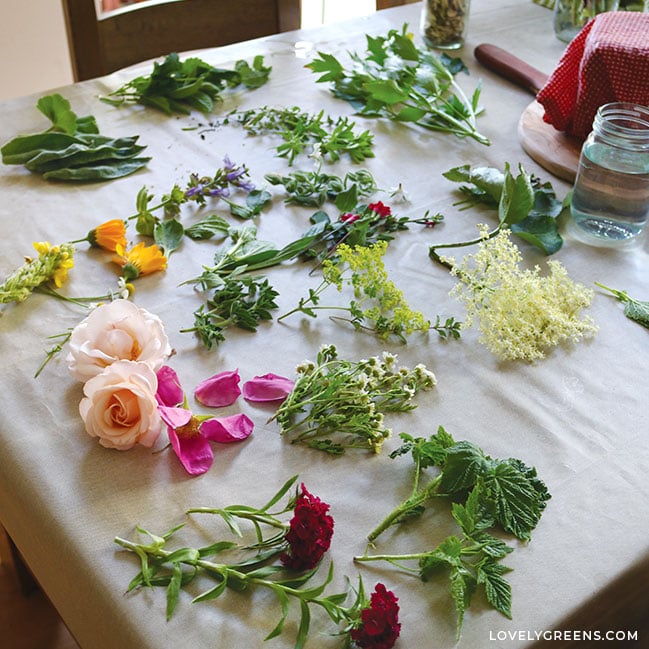 Homemade Soap with Native Plants 2
