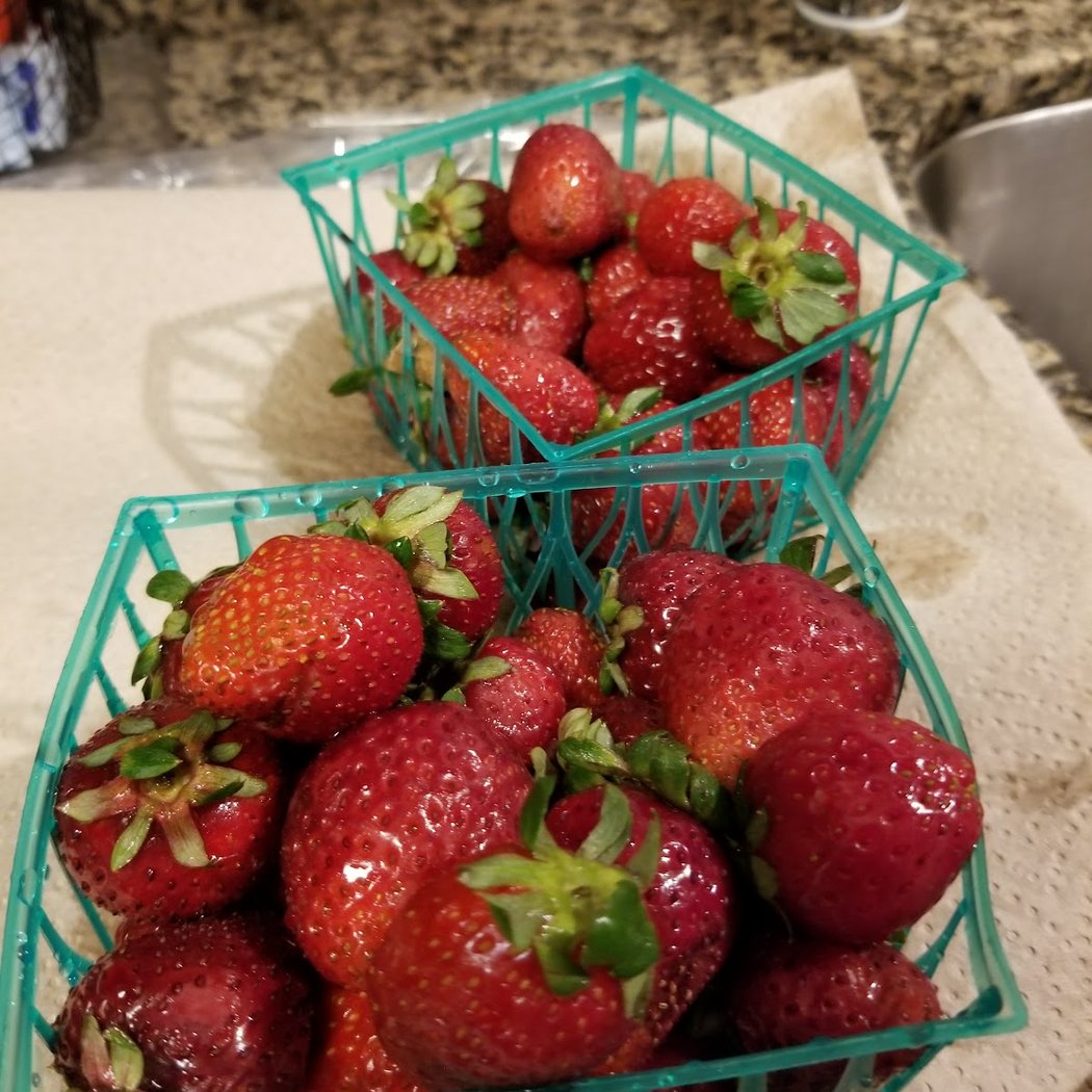 Strawberry Patch 2