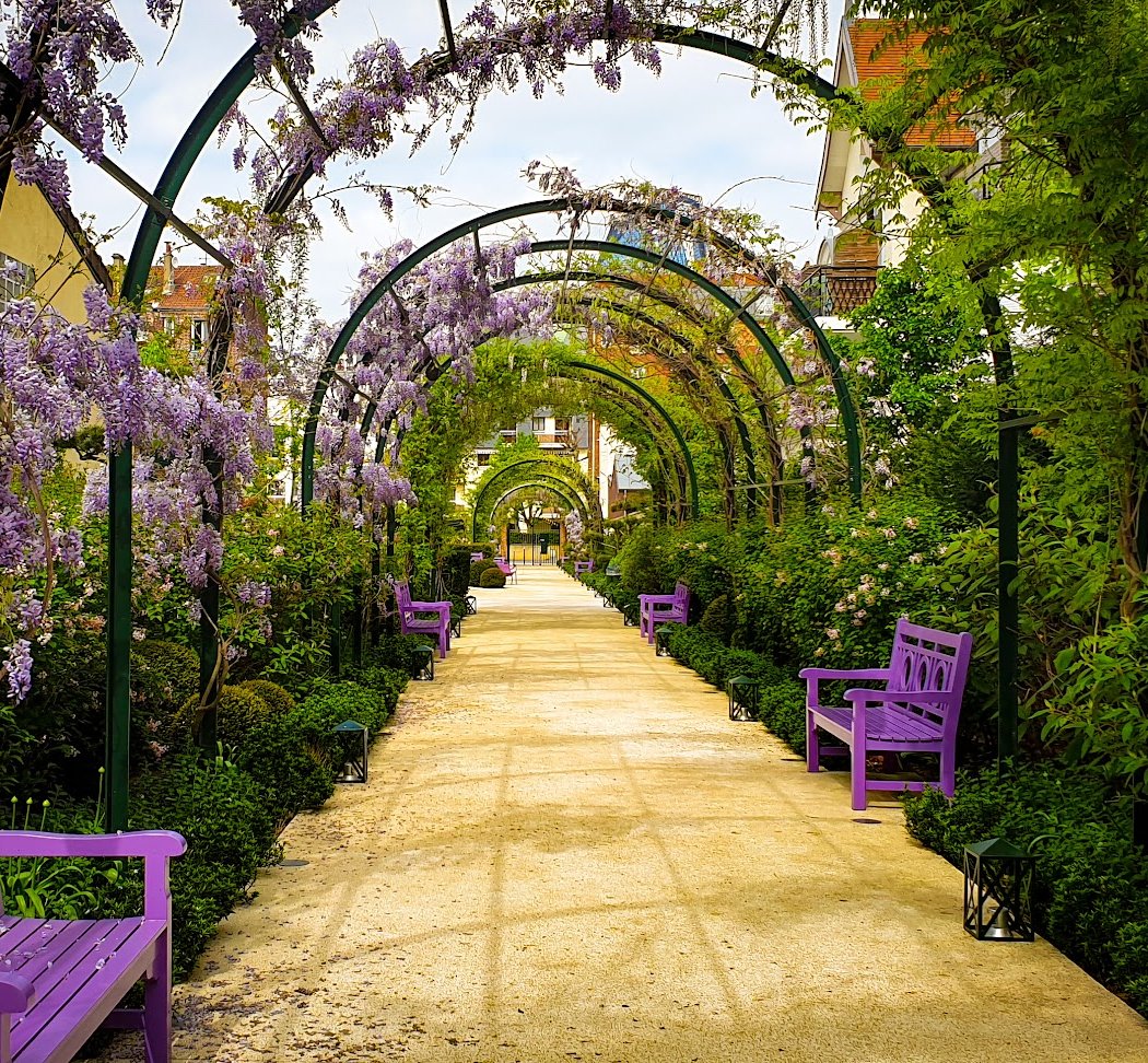 Glycines Garden 1