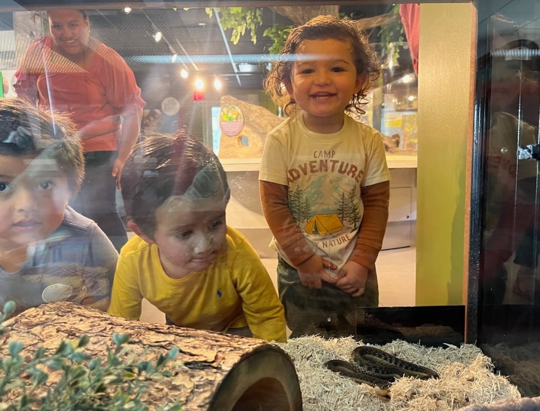 Home School Reptile and Amphibian Encounter 1