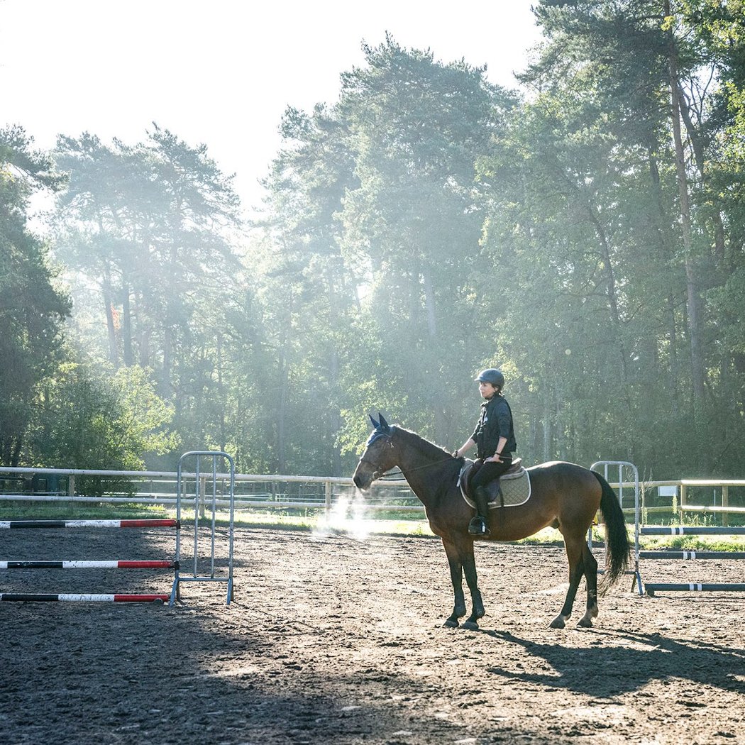 Equestrian Center Arbonne Riding 2