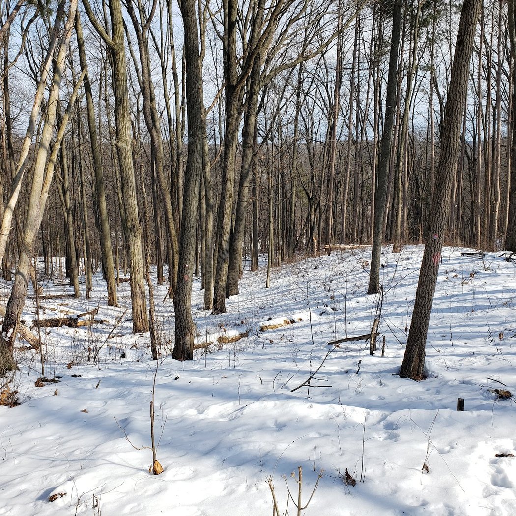 Bird Hills Nature Area 5