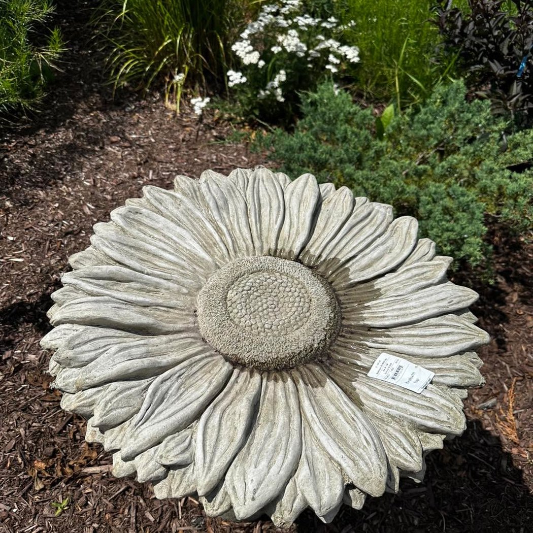 Spring Bluff Nursery 2
