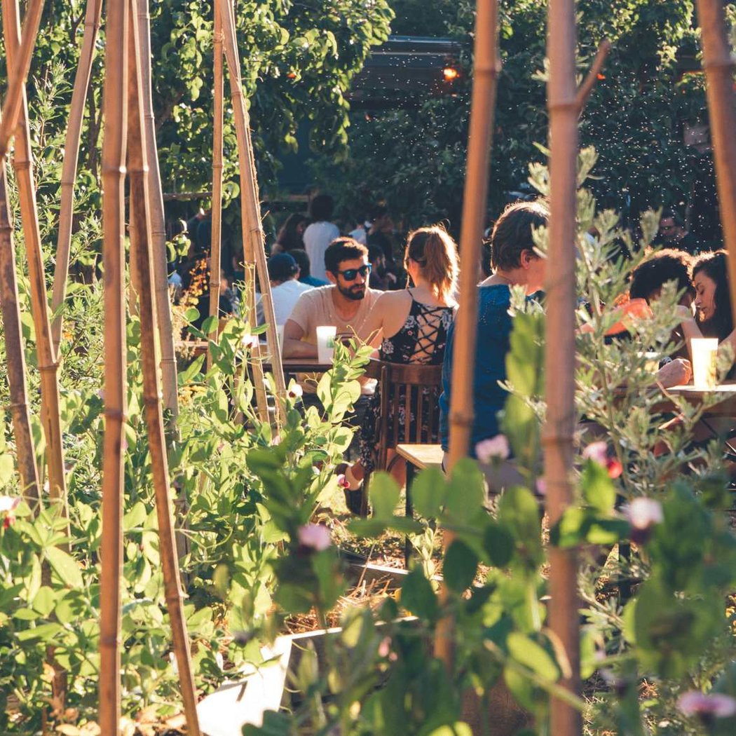 Summer Activities at Jardin 21 2