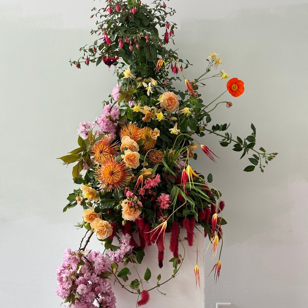 Strega Flora 1
