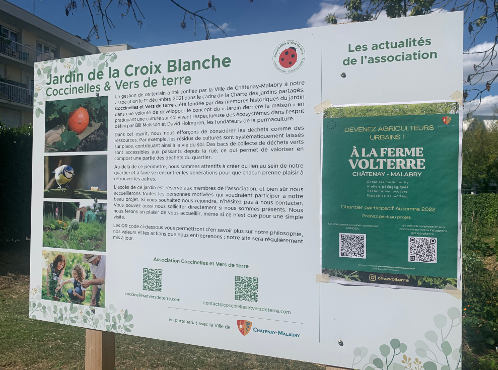 Coccinelles et Vers de terre - Parcelle de la Croix Blanche 3