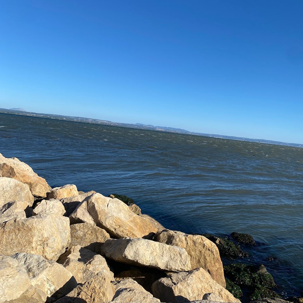 Autour de La Petite Camargue 2
