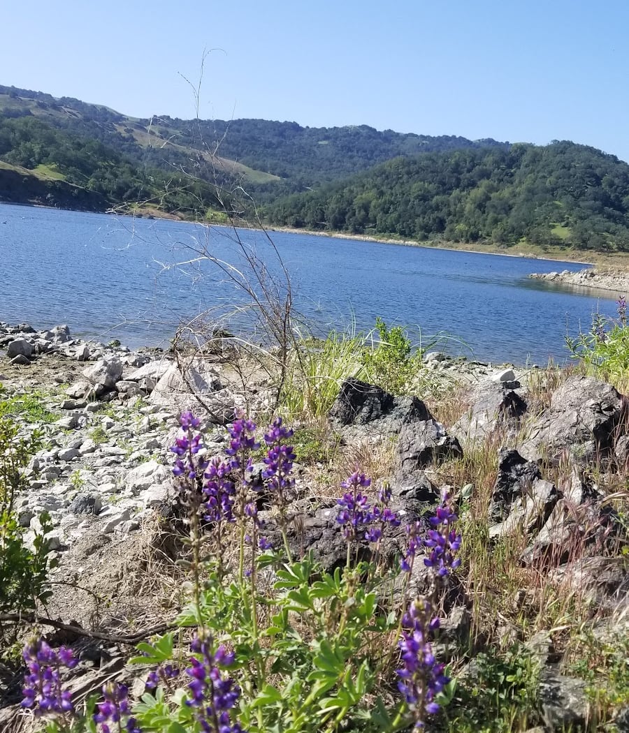 West Group Picnic Area 3