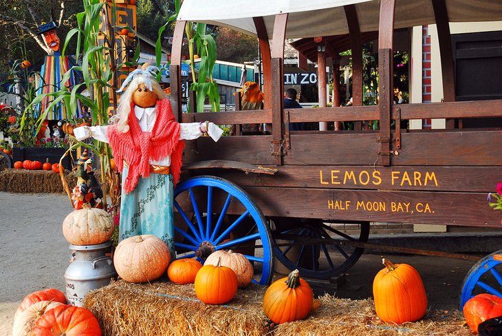 Fall Family Fun at Lemos Farm 2
