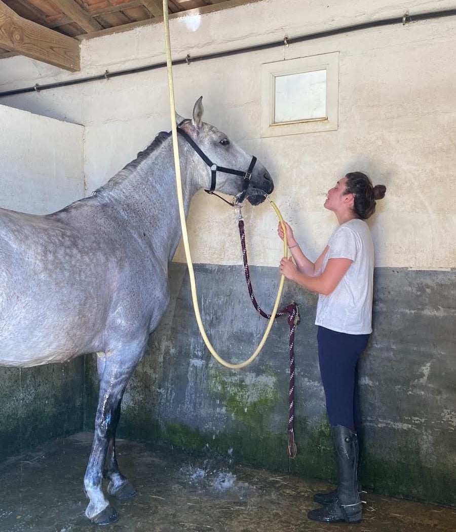 Bordeaux Cheval Club - Equestrian Center & Pony Club 3