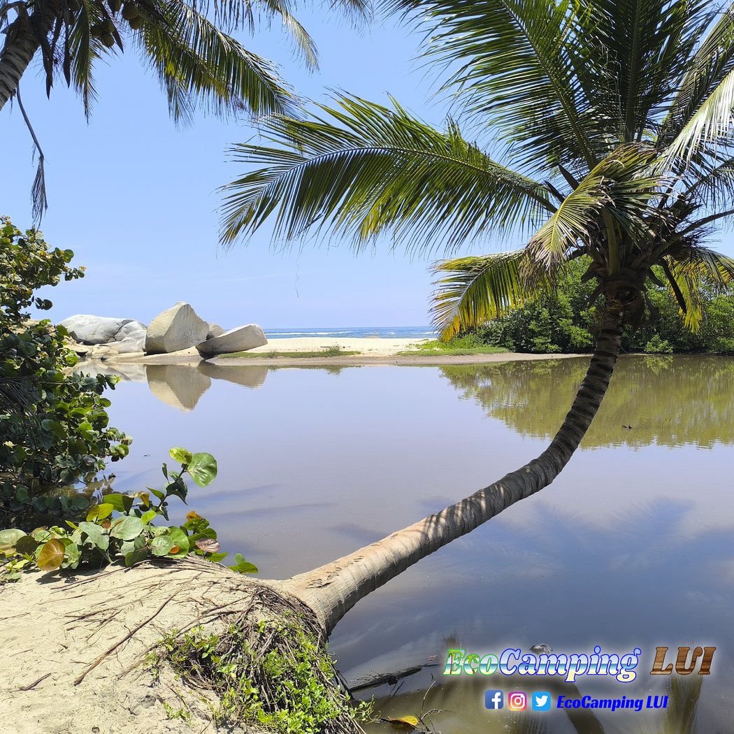 EcoCamping LUI 1