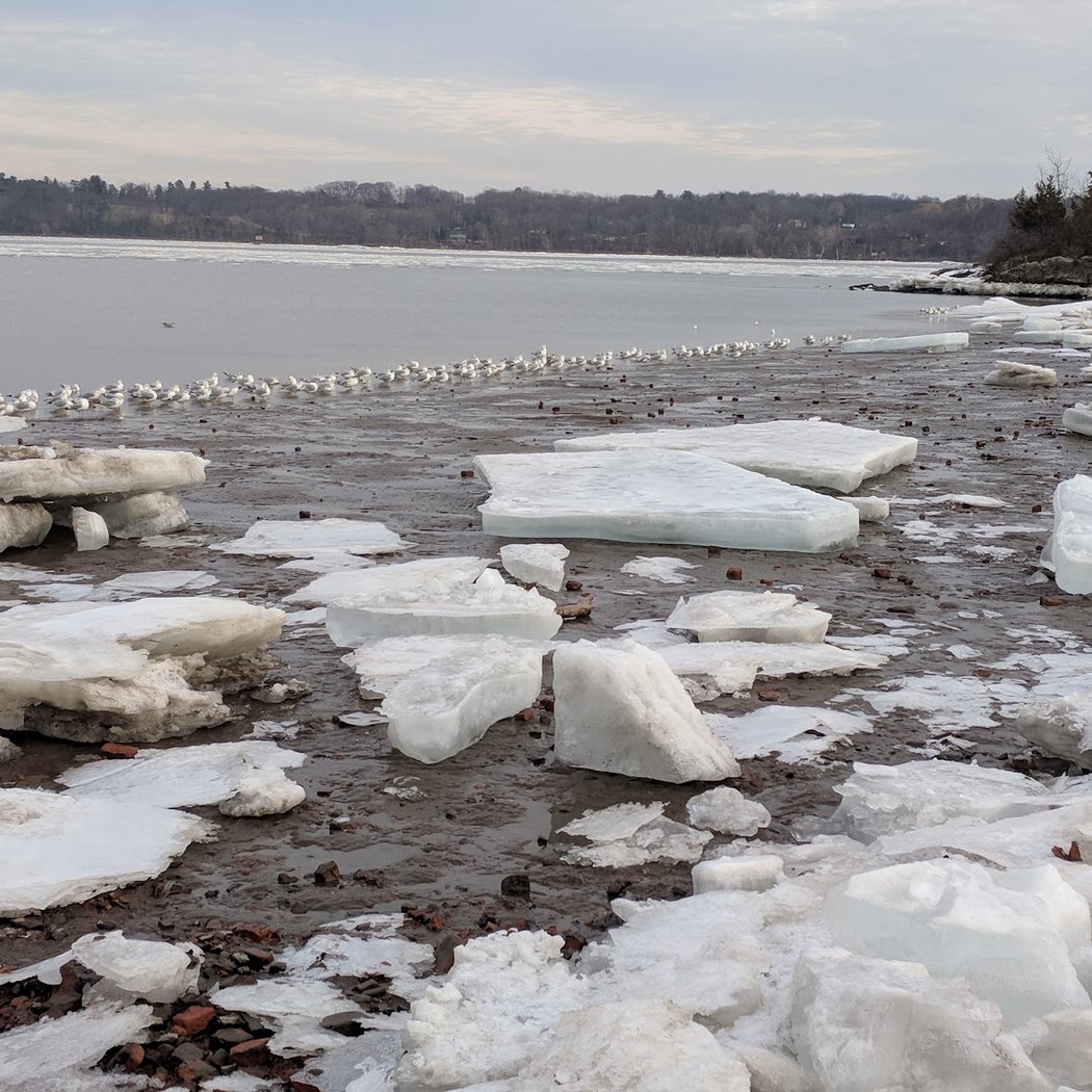Kingston Point 3