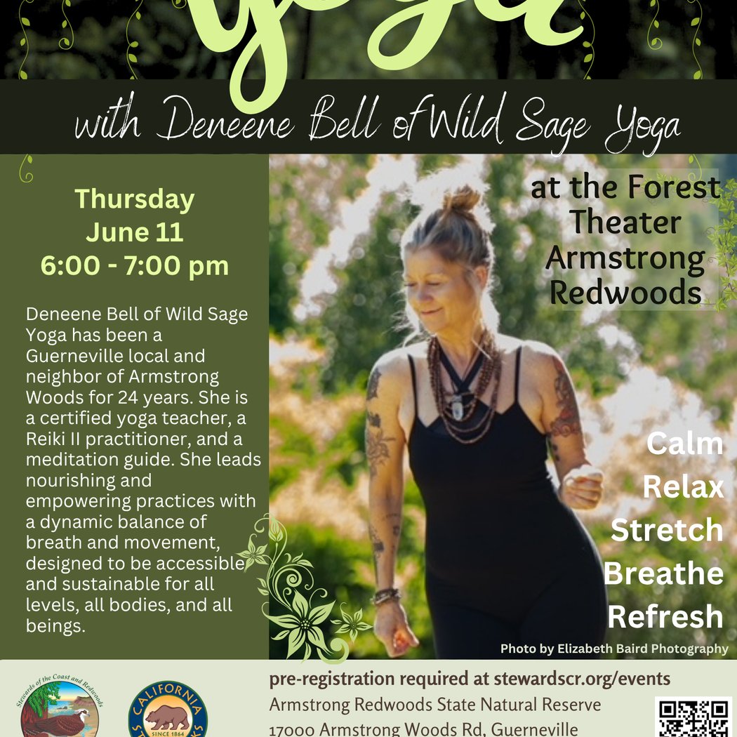 Yoga in the Redwoods with Deneene 1