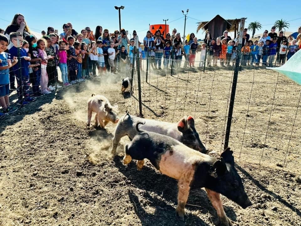 Fantozzi Farms Corn Maze and Pumpkin Patch 1