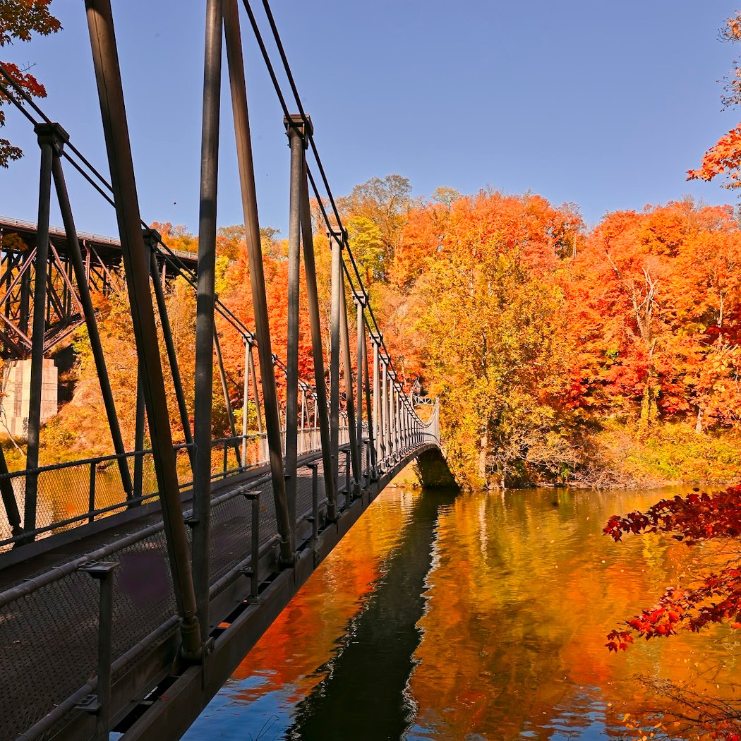 Popolopen Suspension Bridge 1