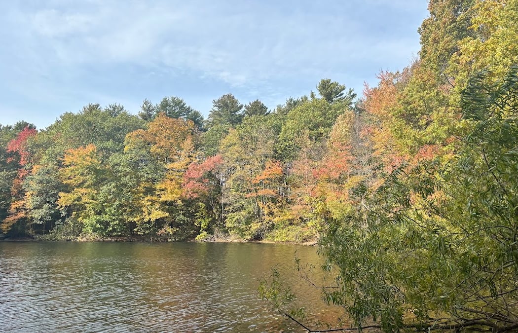 FREE Guided Hiking 3