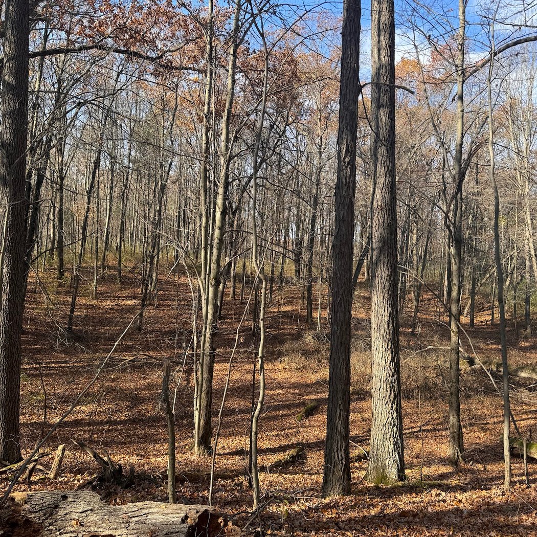 Holly Recreation Area 2