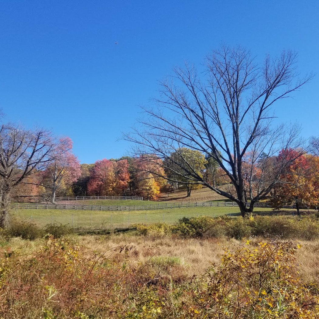 Rockefeller State Park Preserve 3
