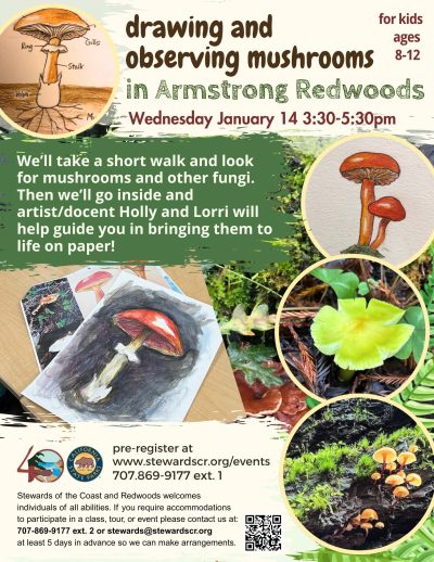 After School - Mushroom Discovery and Draw for Kids 1