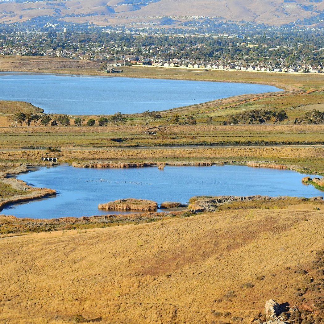 Coyote Hills Vista Point 3
