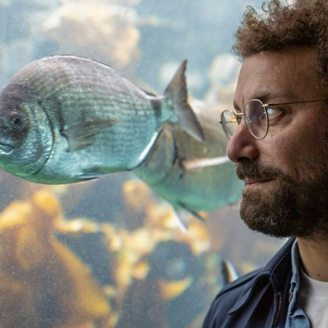 L’Homme-poisson 1