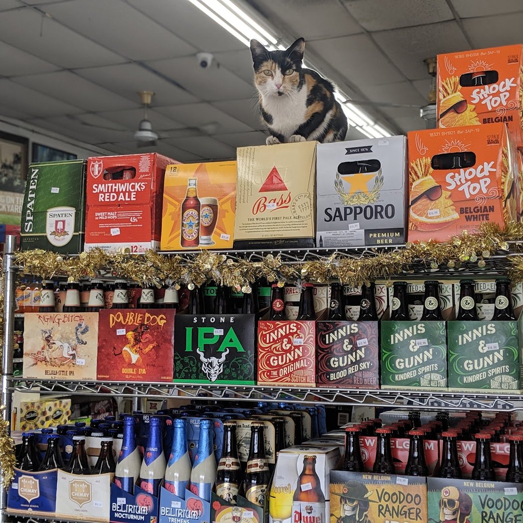 Shell Barn Beverages 1