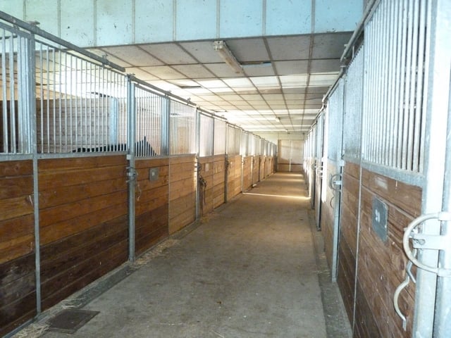 "Un Pas De Côté", Haras De Mignaloux 3