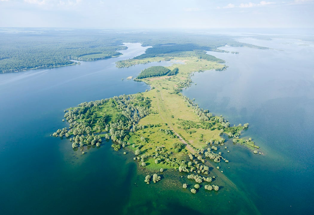 Parc naturel régional de la Forêt d'Orient 1
