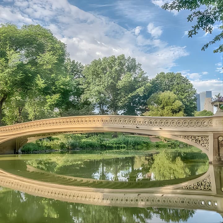 Central Park Pedicab Tours 3