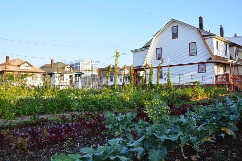 Edgemere Farm 2