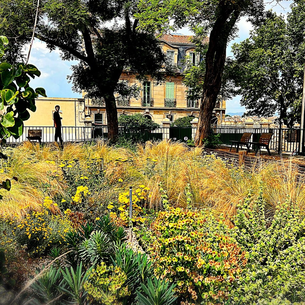 Lamy Garden 1
