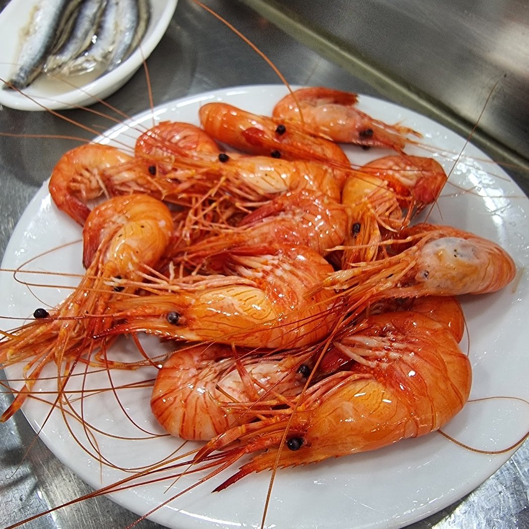 La Paloma 1