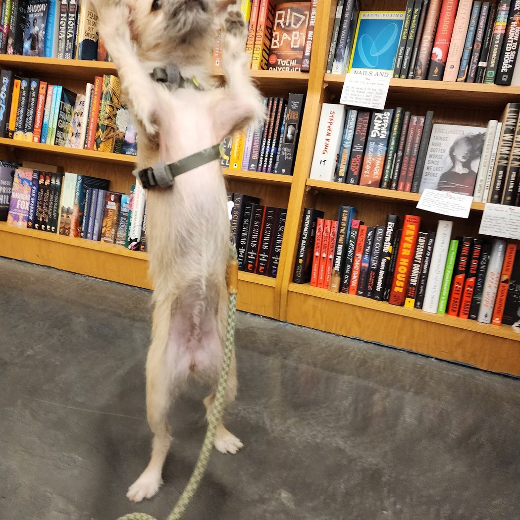 City Lit Books 1