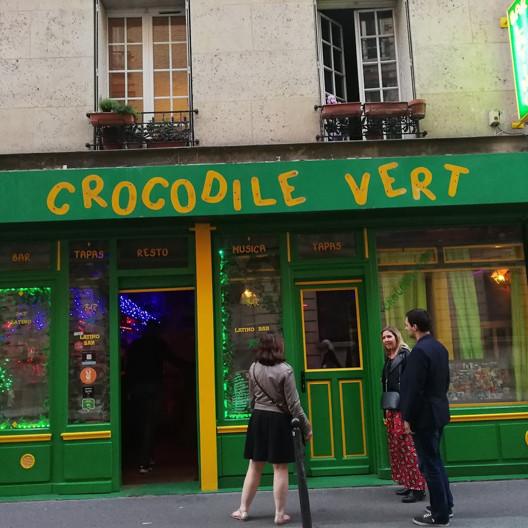 Crocodile Vert 2