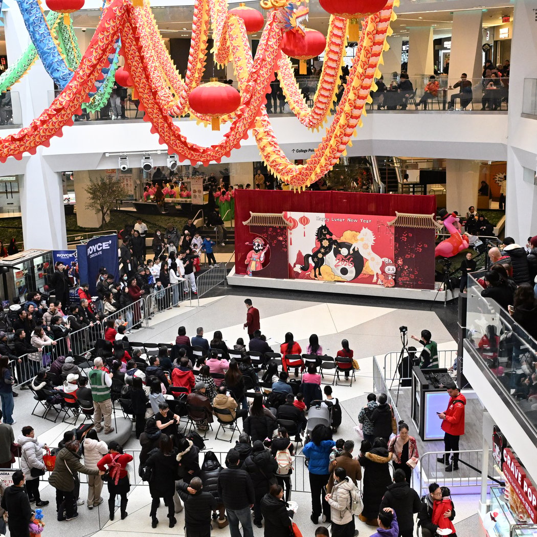 Lunar New Year Celebration 3
