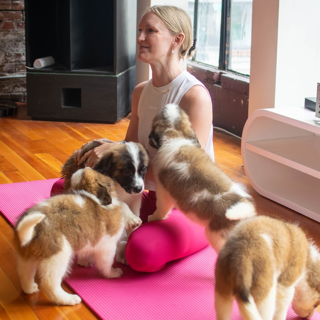 Puppy Yoga San Francisco - Studio 2( Puppies Yoga) 2