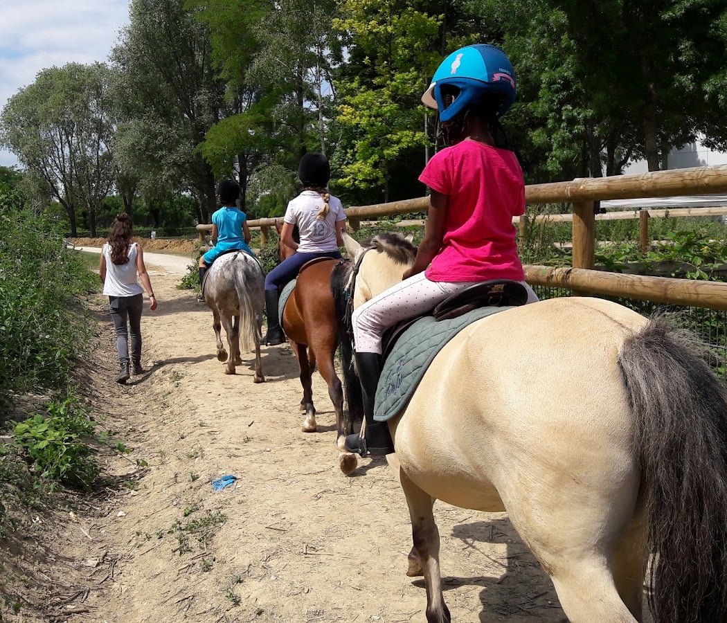 Equestrian Center Municipal D'orly 3