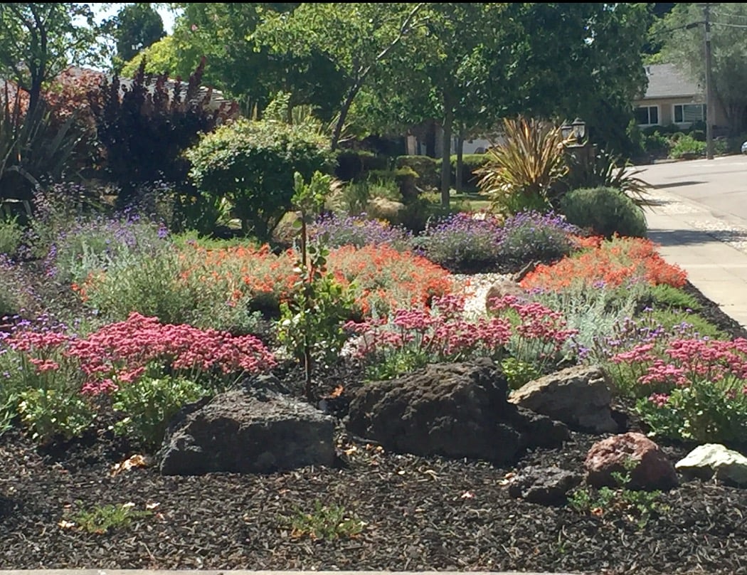 Middlebrook Gardens 1