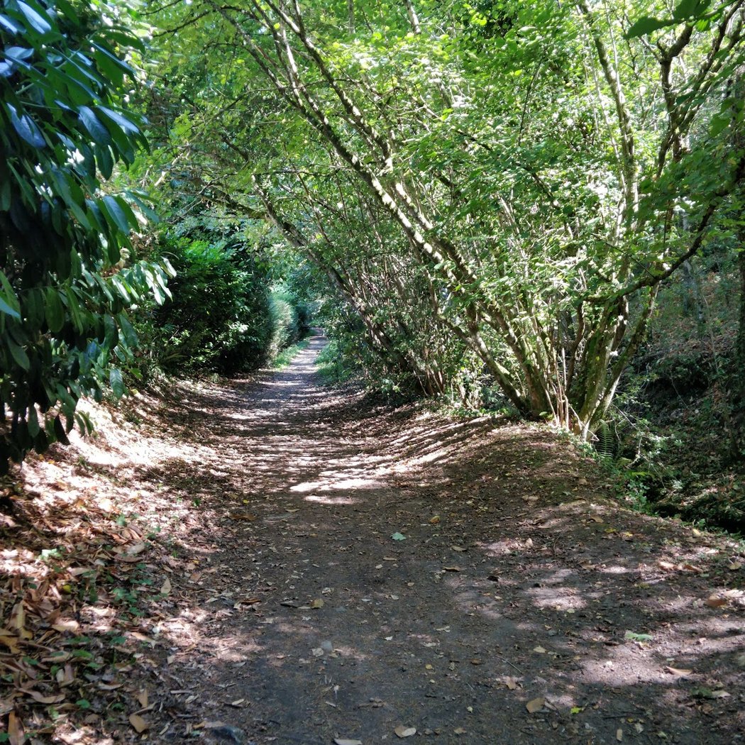 Pont - Barbotiere 3