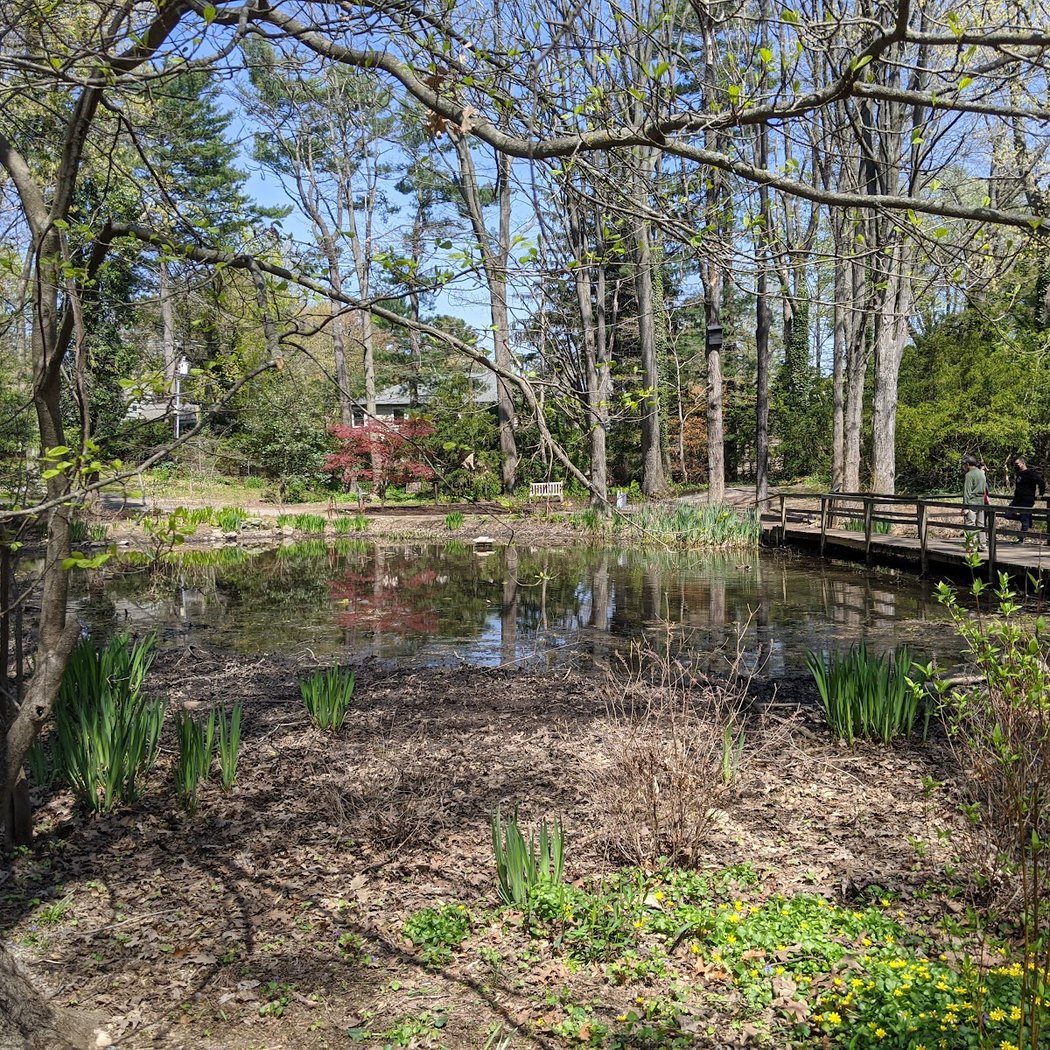 Clark Botanic Gardens 3