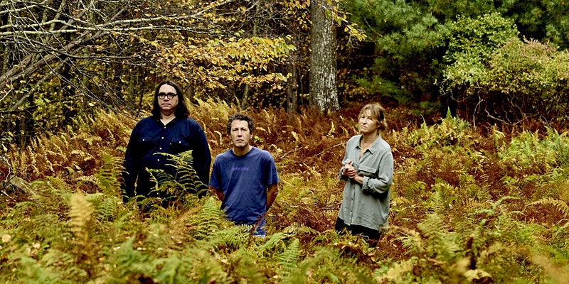 Yo La Tengo, Luna 2