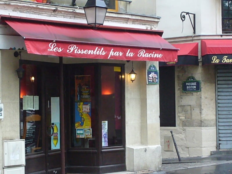 Les Pissenlits Par la Racine 3