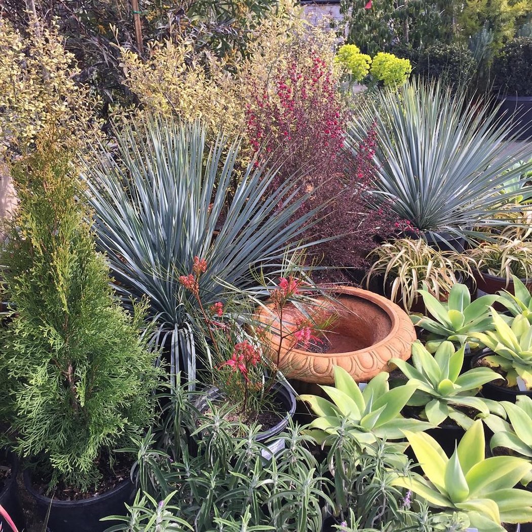 Green Jeans Garden Supply 2