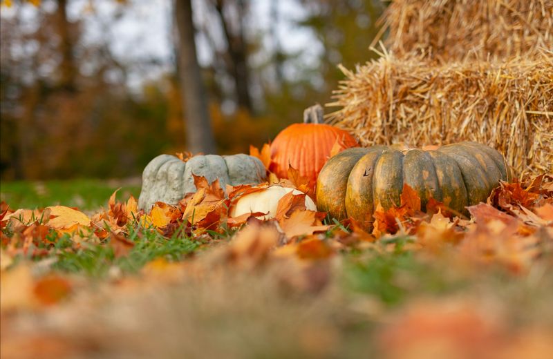 Thanksgiving Holiday Closure 1