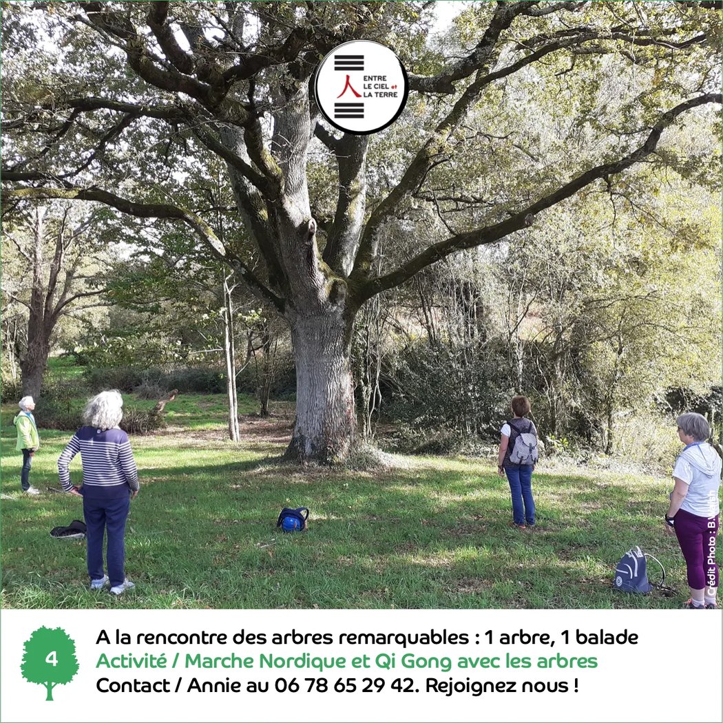 Qi Gong And Tai Chi Chuan, Association Resonance - Marie-Madeleine Durand 1