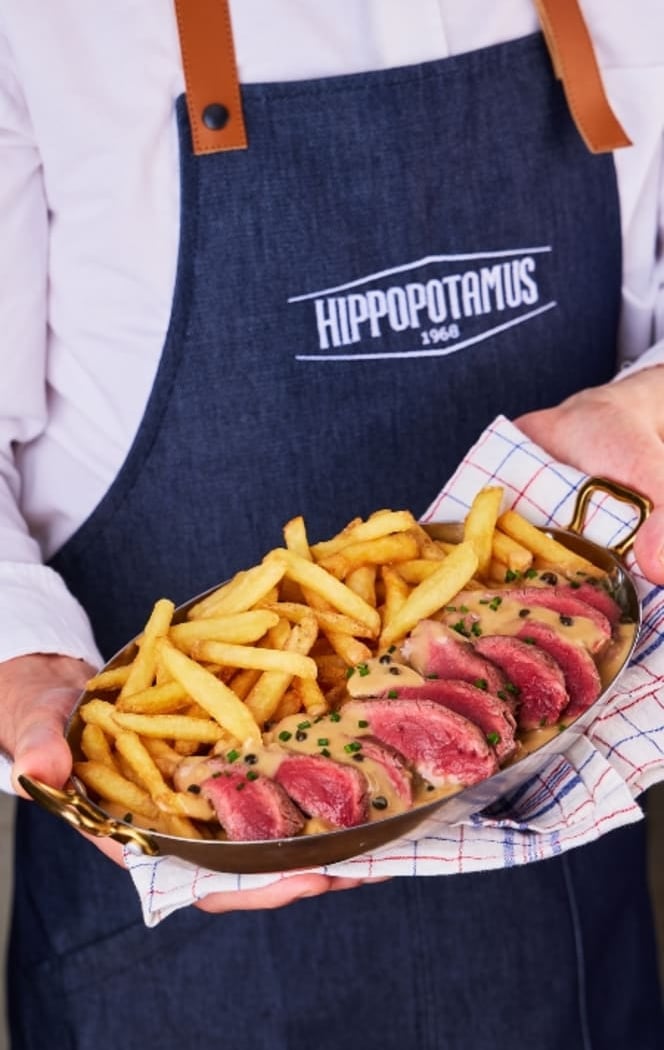 Hippopotamus 4