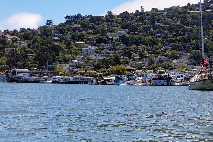 Combo Tour: Muir Woods, Sausalito and Sonoma Wine Country Tour 2