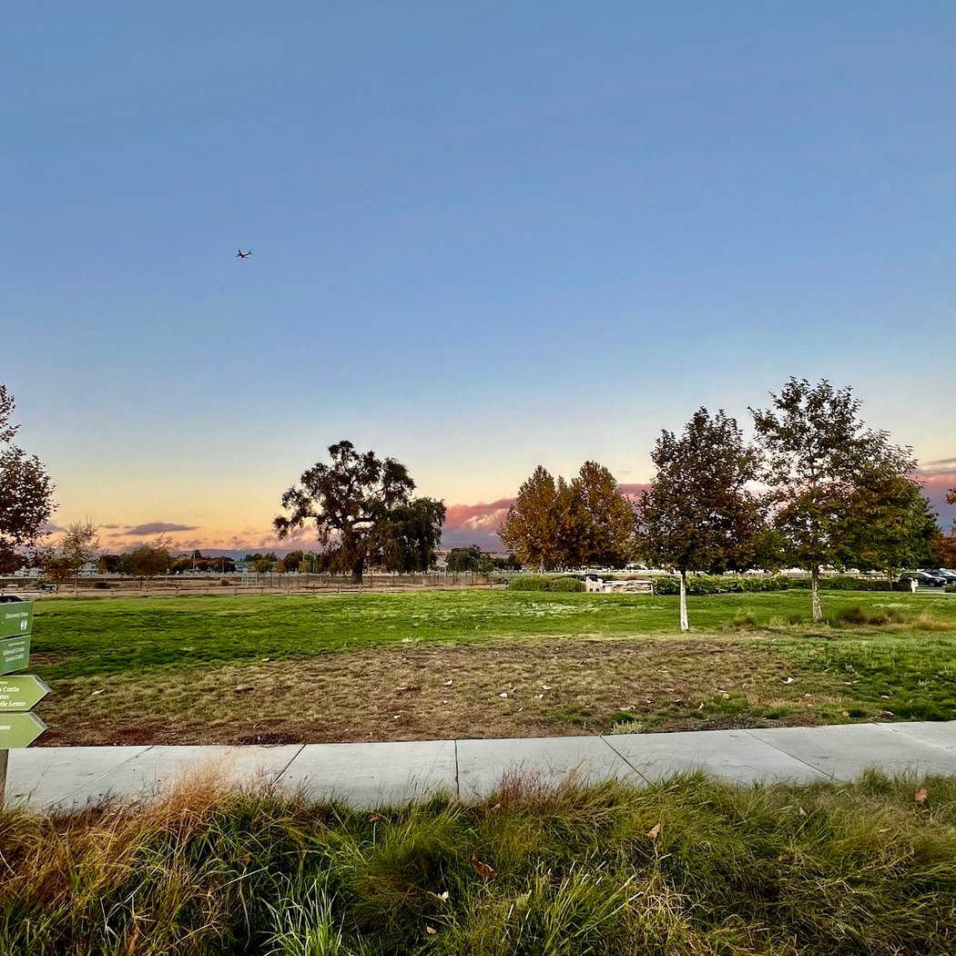 California Native Plant Sale 3