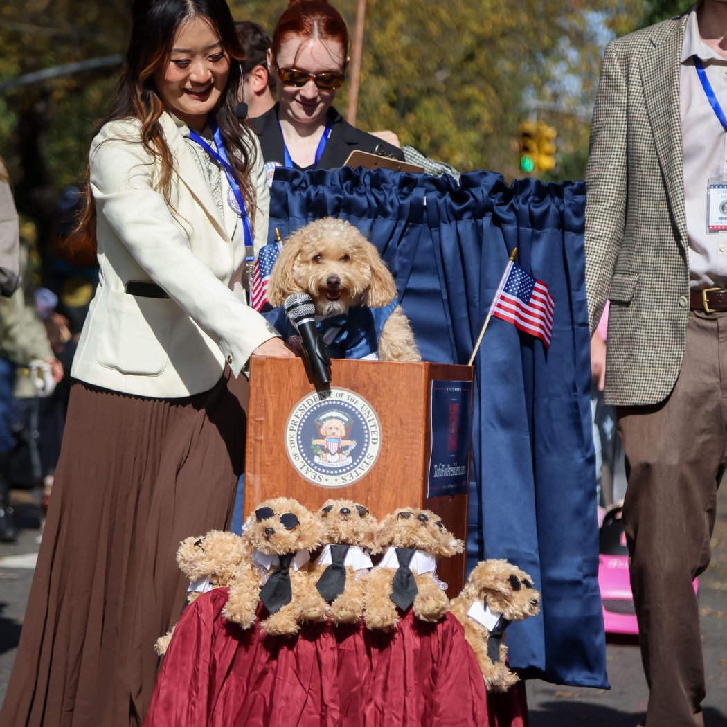 Halloween Dog Parade 2